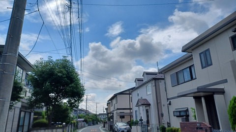 0627①「朝の散歩」