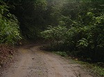 道なき道を行く