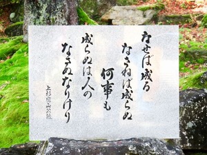 23466519_s