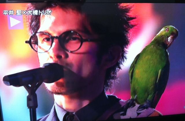どなたがトリオさんですか ささやかにヒトリゴト どなたがトリオさんですか ささやかにヒトリゴト