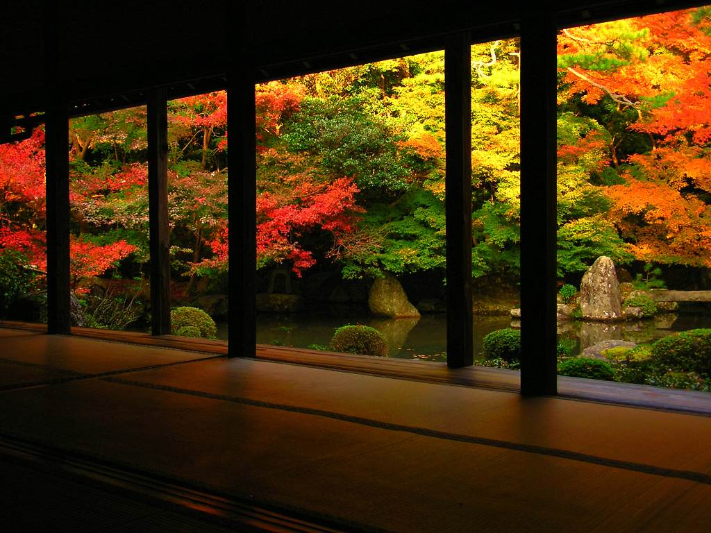 秋らしい画像を貼っていくスレ ささやかな楽しみ 秋らしい画像を貼っていくスレ ささやかな楽しみ