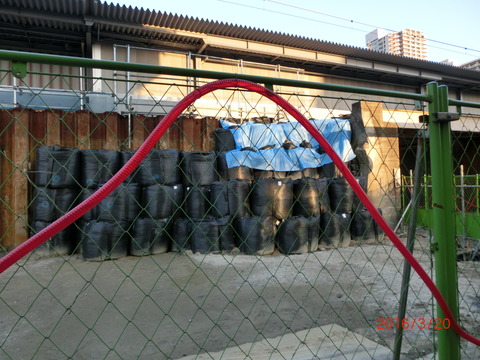 CIMG5493