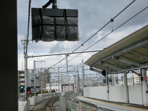 CIMG2294