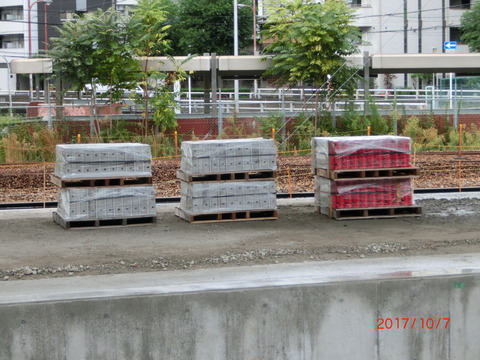 CIMG8555