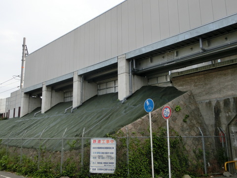 CIMG2981