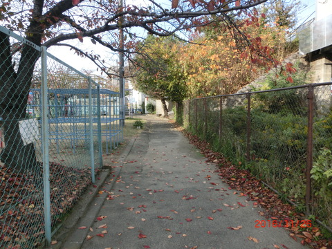 CIMG3234