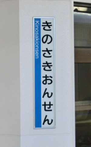 CIMG5053 (2)