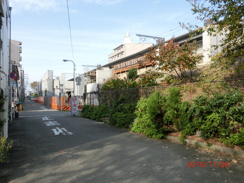 CIMG3238