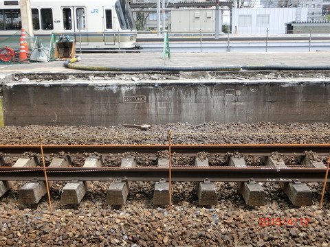 CIMG5446