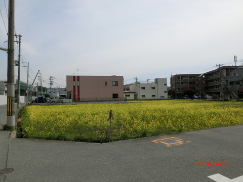 CIMG8152