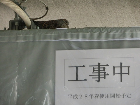 CIMG6570