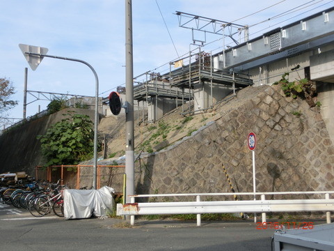 CIMG3264