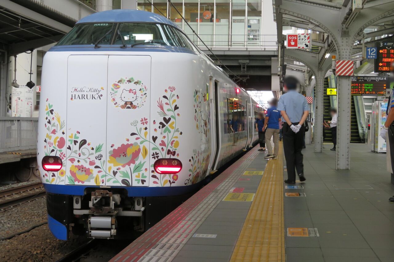 1日限定】 大阪駅で関空特急はるか 「新見行き」 の団体専用列車を撮る