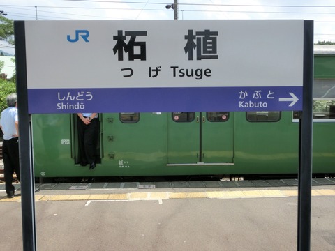 CIMG3864 (2)