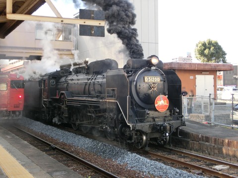 CIMG8749-1