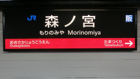 CIMG0548 (2)