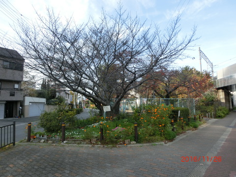 CIMG3231