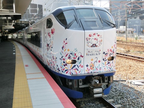 CIMG8202 (2)