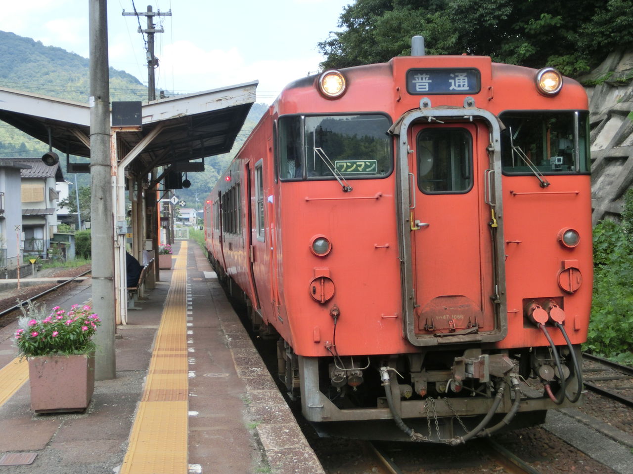 芸備線】 ネコ駅長 「りょうま」 がいる 志和口駅を訪れる （駅舎