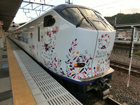 CIMG7409 (2)