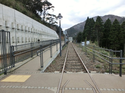 CIMG6805 (2)