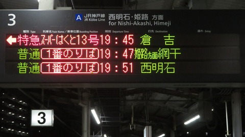 IMG_5556-1