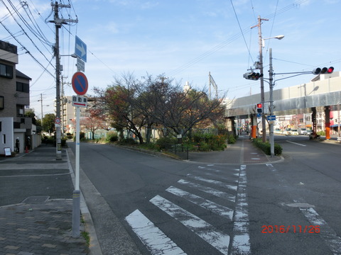 CIMG3229