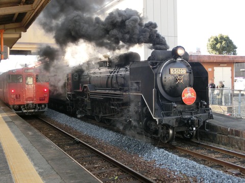 CIMG8756-1