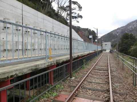 CIMG6800 (2)