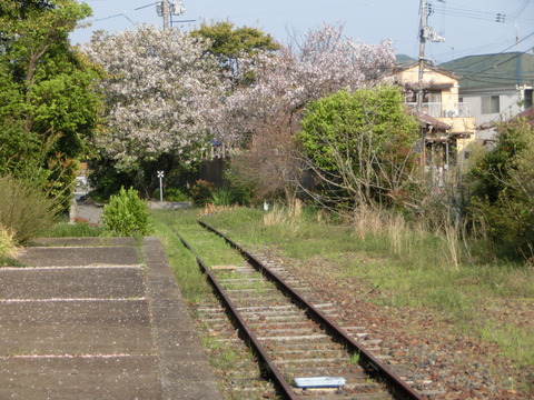 CIMG4596