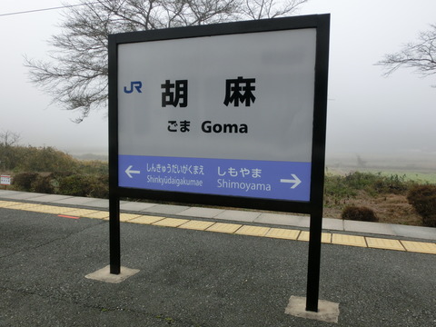 CIMG5020