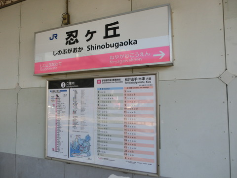 CIMG0453