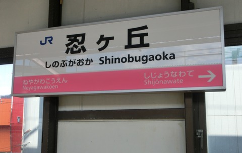 CIMG0449