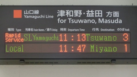 CIMG6325-1
