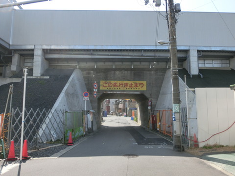 CIMG8553
