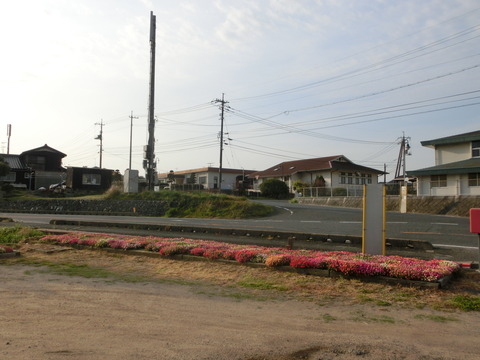 CIMG5203