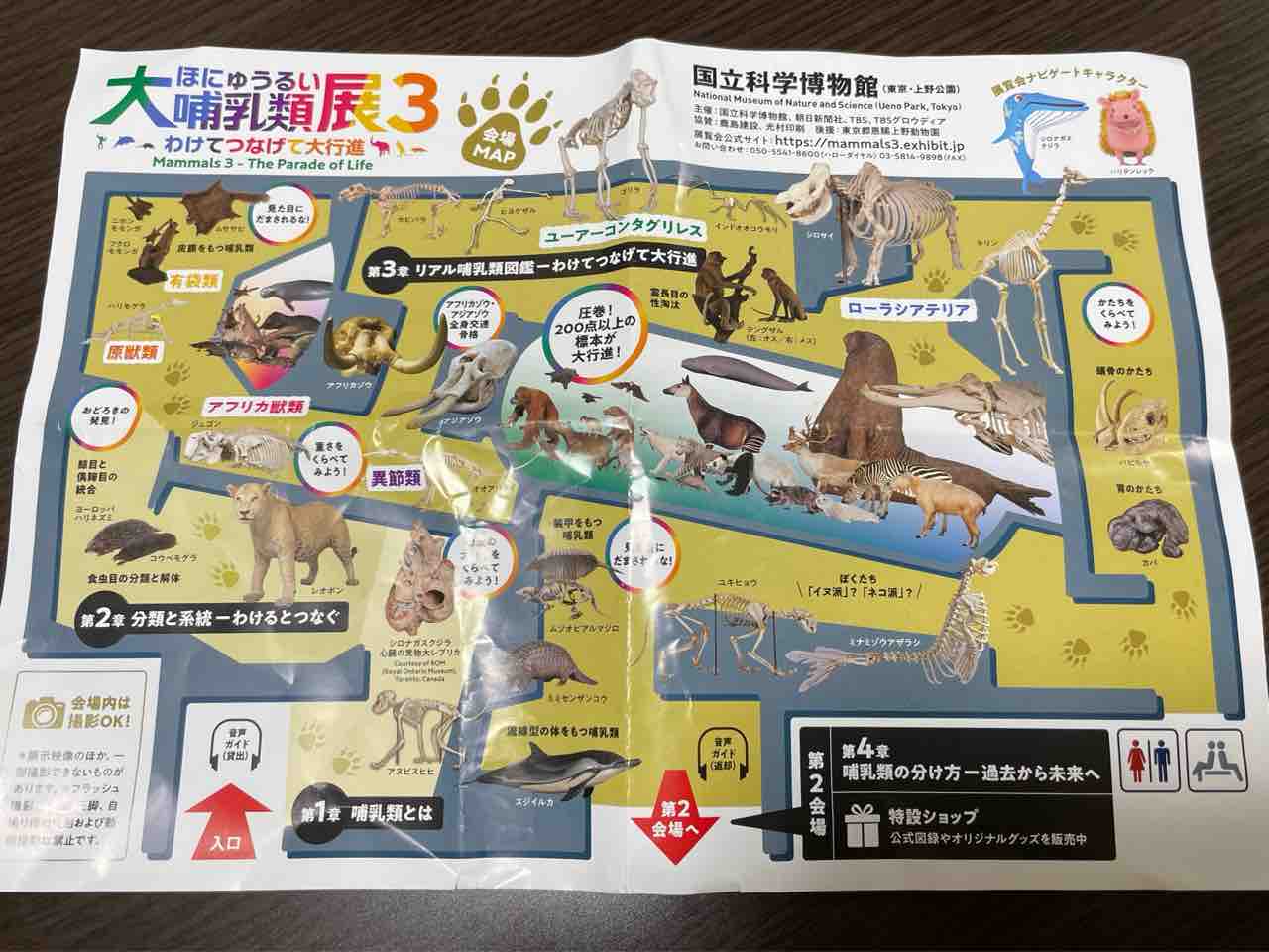 大哺乳類展 陸のなかまたち 会場限定 ツノのある動物図鑑 キリン