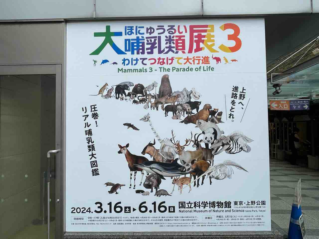 国立科学博物館】哺乳類の秘密を知れる!?大哺乳類展3-わけて 国立科学博物館】哺乳類の秘密を知れる!?大哺乳類展3-わけて