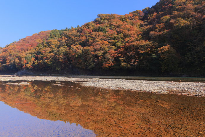 川面に映る紅葉が美しい那珂川