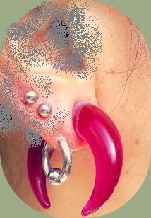 続きから ピアス拡張0g 00gへ 0gまでの道のり Part 2 さそり座ab型主婦の日記 3rd 続きから ピアス拡張0g 00gへ 0gまでの道のり Part 2 さそり座ab型主婦の日記 3rd