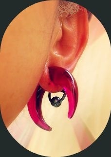 ピアス拡張0g 00gへ 0gまでの道のり Part 1 さそり座ab型主婦の日記 3rd ピアス拡張0g 00gへ 0gまでの道のり Part 1 さそり座ab型主婦の日記 3rd