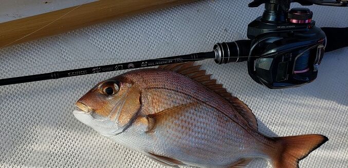21年初釣りは めで鯛 瀬戸内マダイを求めて In Kagawa