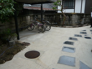 P1020894