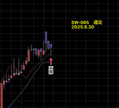 【　SW銘柄　】　　結果報告　　SW-065　+20.93％　　87営業日