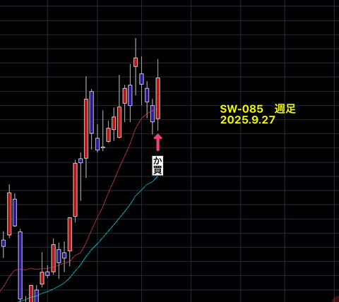 【　SW銘柄　】　　結果報告　　SW-085　　+11..61％　　7営業日
