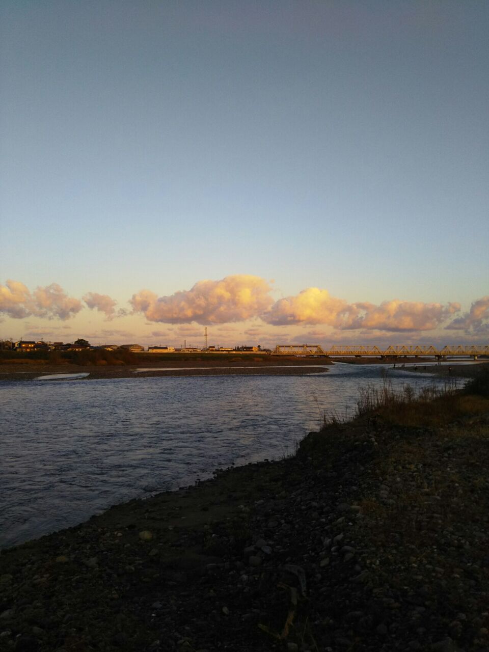 本流 桜鱒 おさかなまつり