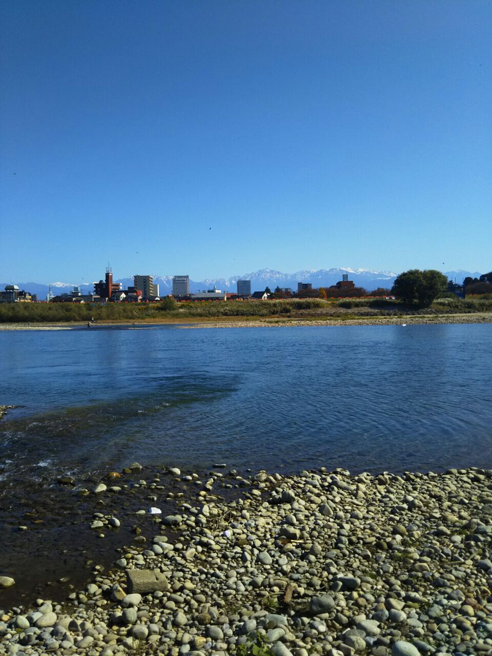 本流 桜鱒 おさかなまつり