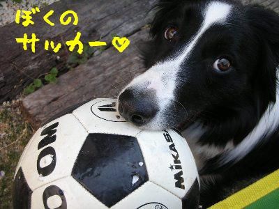 サスケランドでサッカーサッカー ｓｕｎｎｙｄａｙｓ