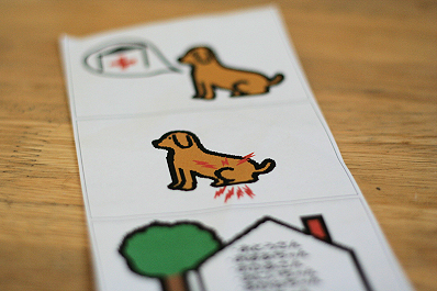 ナナといっしょに