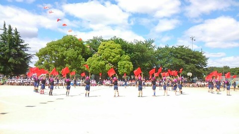 写真・西部小の運動会